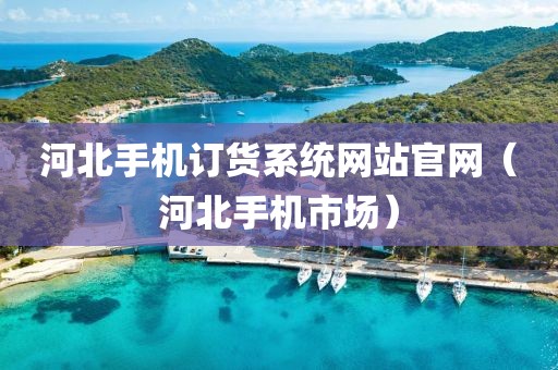 河北手机订货系统网站官网（河北手机市场）